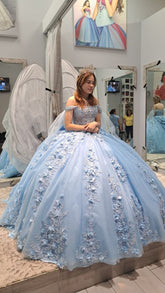 Light Blue Quinceanera Ball Gown with 3D Flower Lace