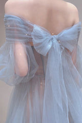 Blue Tulle Long Prom Dress with Built-In Bra and Zipper
