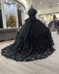 Stunning Black Quinceanera Ball Gown Prom Evening Dress for Women