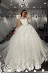 Sheer Tulle Ball Gown Wedding Dress with Long Sleeves Appliques