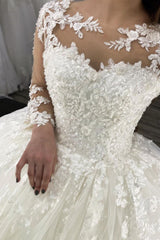 Sheer Tulle Ball Gown Wedding Dress with Long Sleeves Appliques