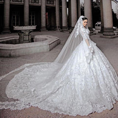 Elegant Princess Beaded Applique Long Wedding Dress with Sleeves and Tulle