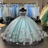 A-Line Tulle Applique Quinceanera Ball Gown Sweet 16 Dress