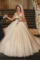Elegant V-Neck Ball Gown Wedding Dress with Exquisite Lace Appliques