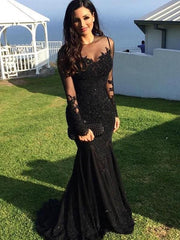 Elegant Mermaid Long Sleeves Sheer Neck Prom Dress with Applique Spandex