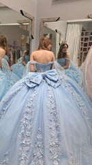 Light Blue Quinceanera Ball Gown with 3D Flower Lace