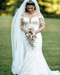 Elegant A-Line V-Neck Lace Tulle Long Wedding Dress Bridal Gown