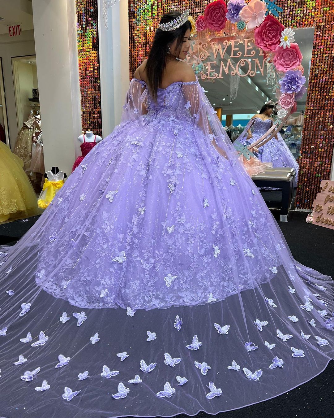 Elegant Lace Ball Gown Long Prom Evening Dress For Women 