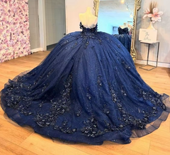 Navy Quinceanera Ball Gown with Floral Appliqués Beaded Crystal Corset