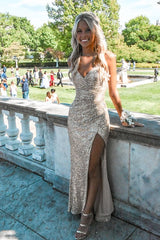 Light Champagne Sequin Prom Dresses Evening Party Formal Gowns