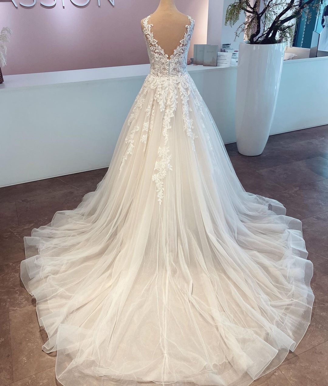 Elegant A-Line V-Neck Sleeveless Wedding Dress with Lace and Tulle