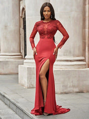 Elegant Trumpet Mermaid Spandex Applique Scoop Long Sleeve Sweep Train Prom Dress