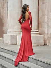 Elegant Trumpet Mermaid Spandex Applique Scoop Long Sleeve Sweep Train Prom Dress