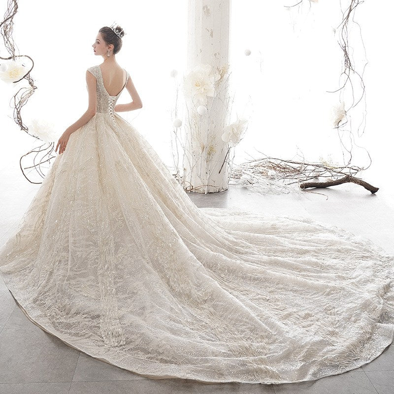 Glitter Light Champagne Plunge V Neck Sleeveless Ball Gown Wedding Dress Glitter Light Champagne Plunge V Neck Sleeveless Ball Gown Wedding Dress